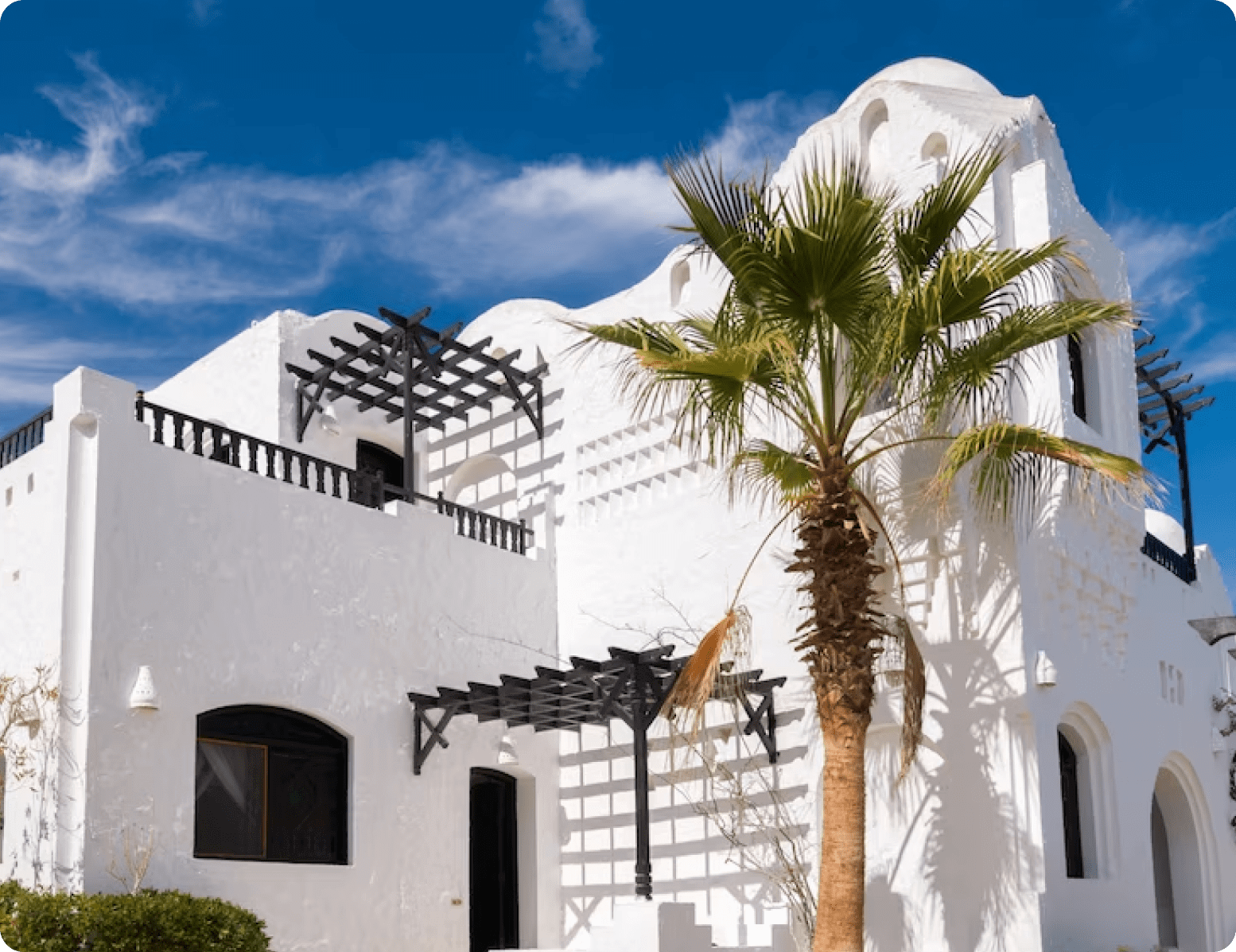 White House with palm tree